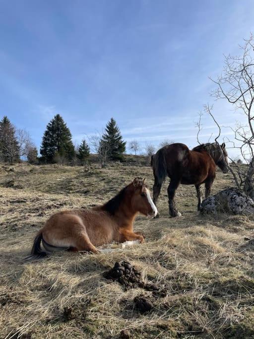 Chic & Champetre Au Coeur Du Haut-Jura Lamoura Buitenkant foto